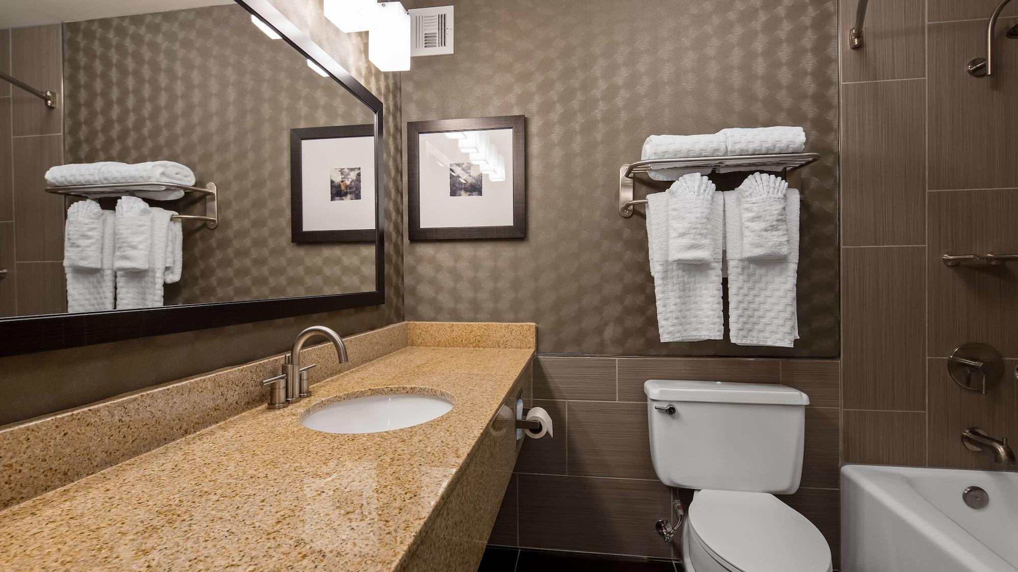 Hotel Western Premier Airport/expo Center 4*